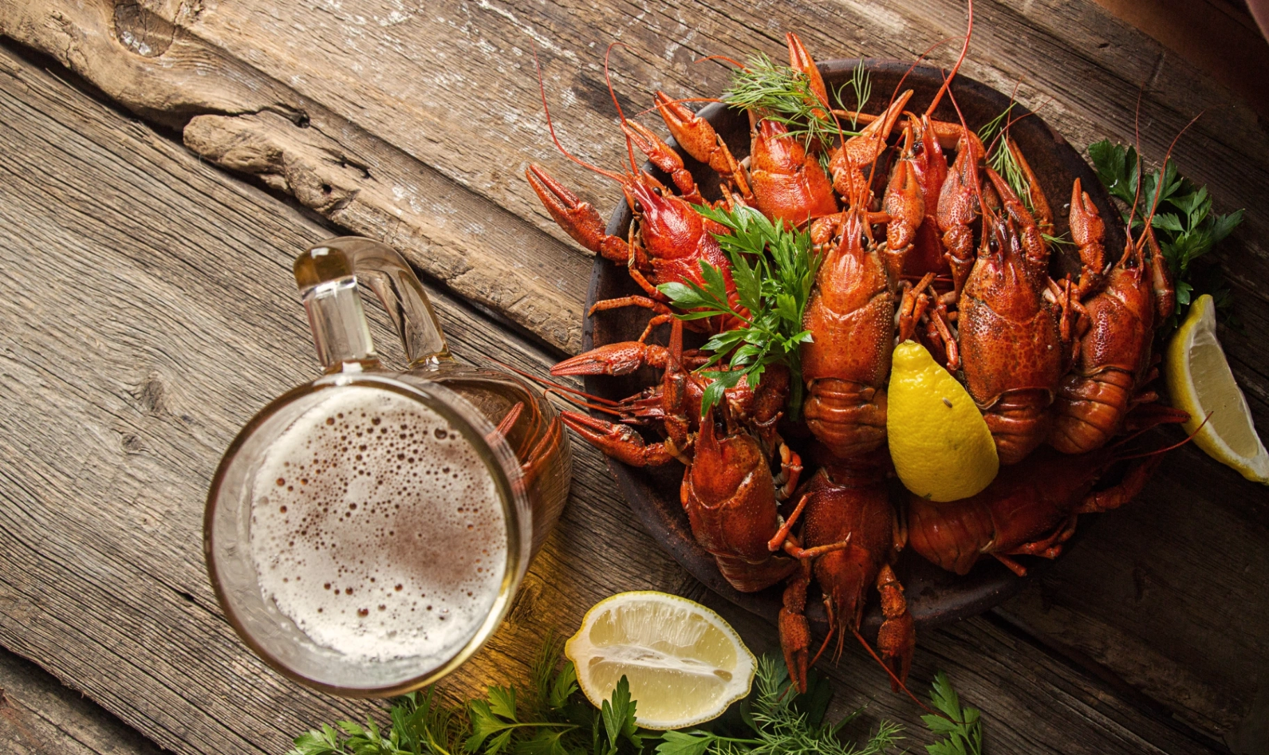 A platter of dill-garnished Swedish crayfish served with a glass of beer